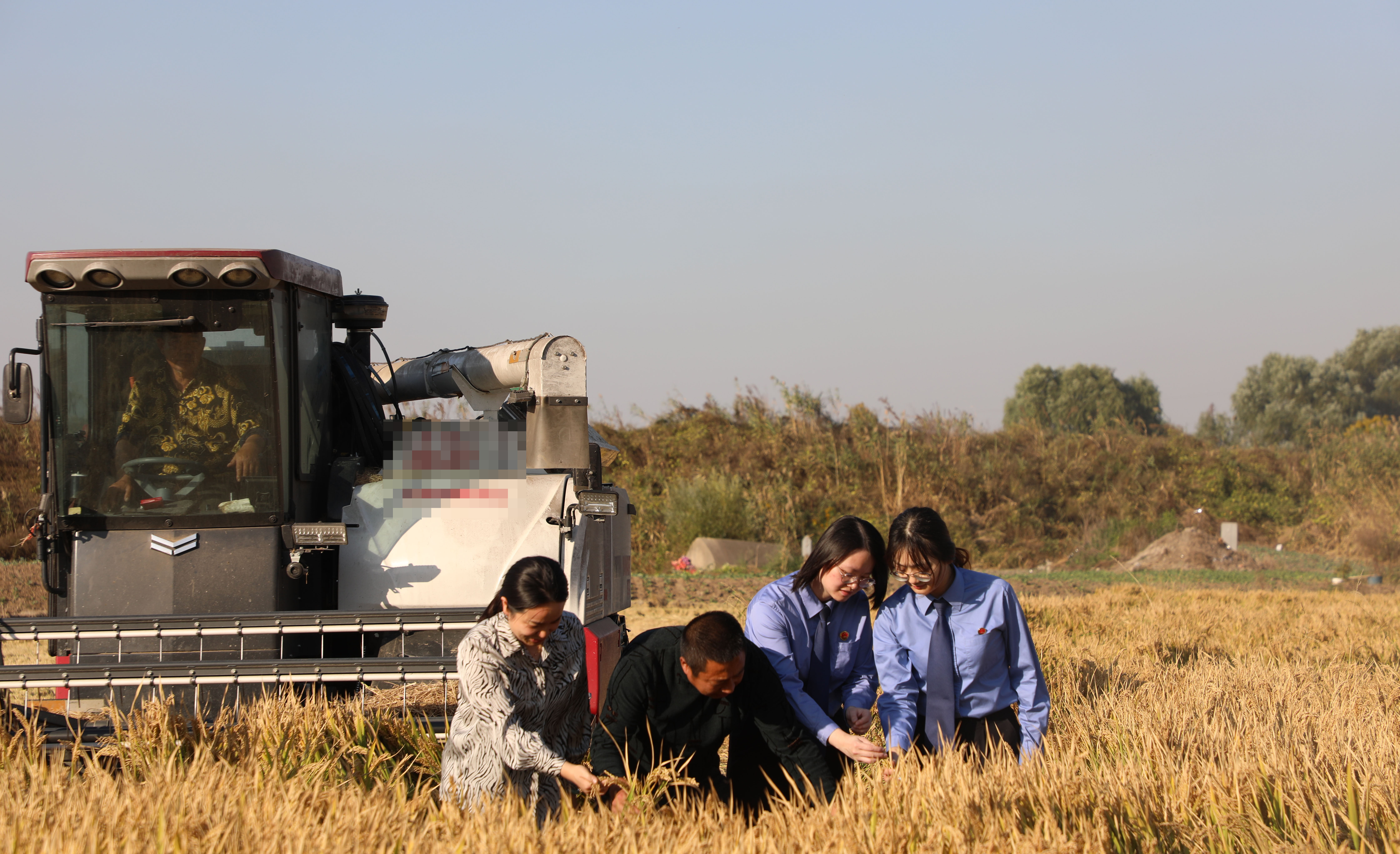 靖江市检察官走进稻田 对恢复种植的农田耕地情况“回头看”