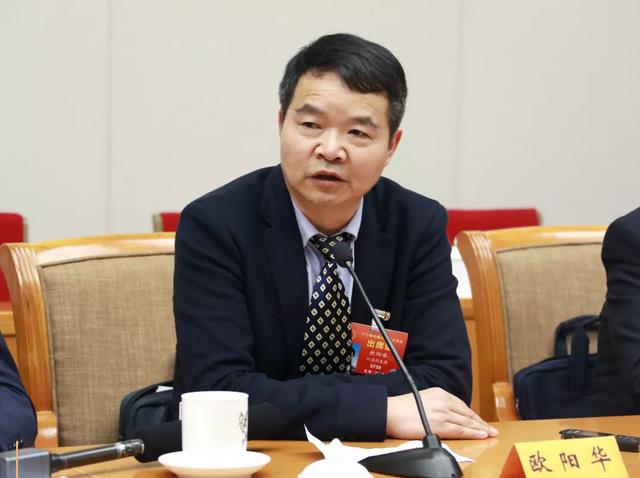 欧阳华 全国人大代表