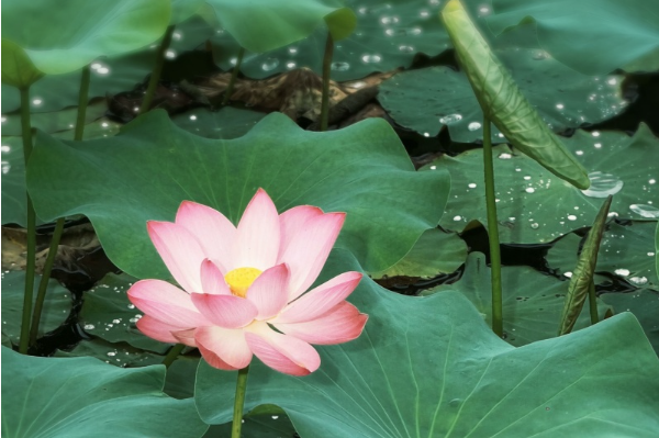QQ20260713-154633.jpg