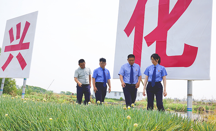 仲夏巡查忙 兴化市检察院走上垛田守护“梦里水乡”