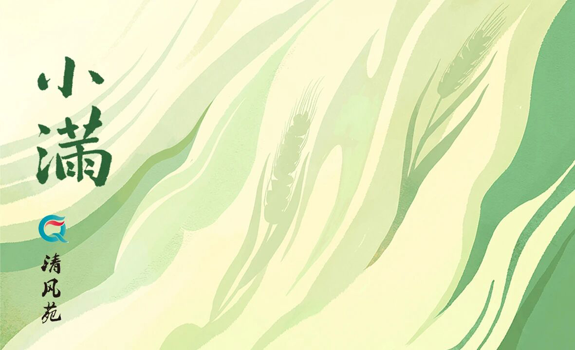 [节气]小满