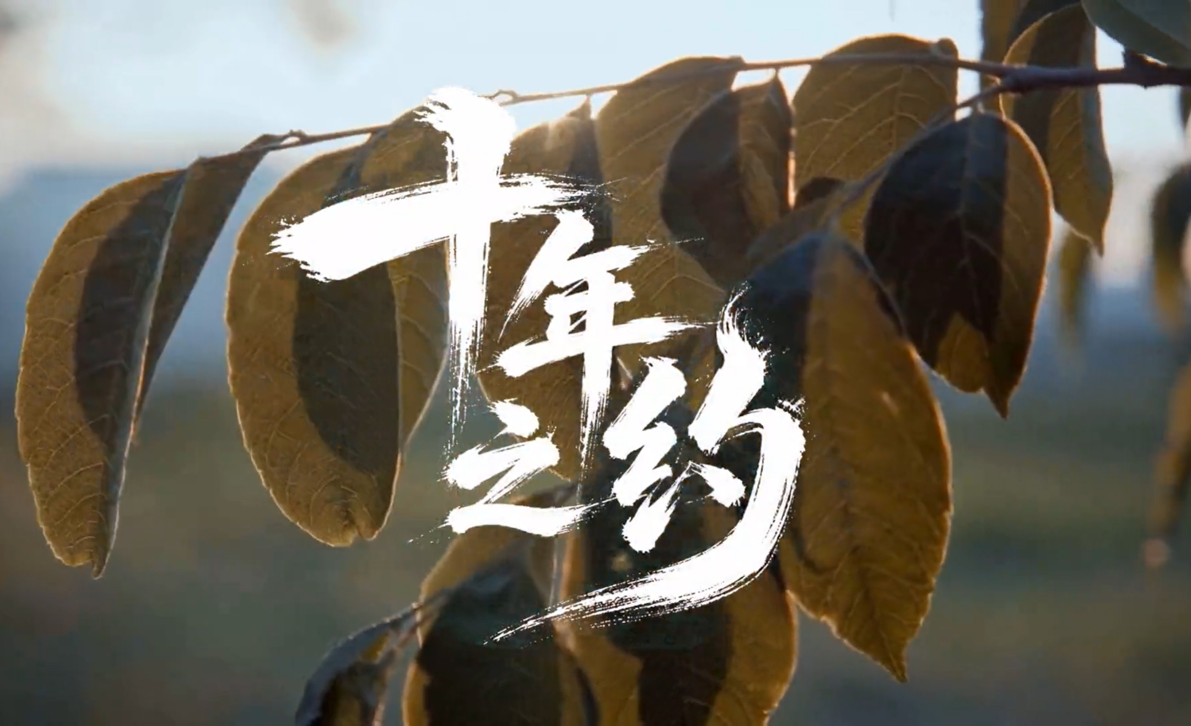 QQ20260930-141238.jpg